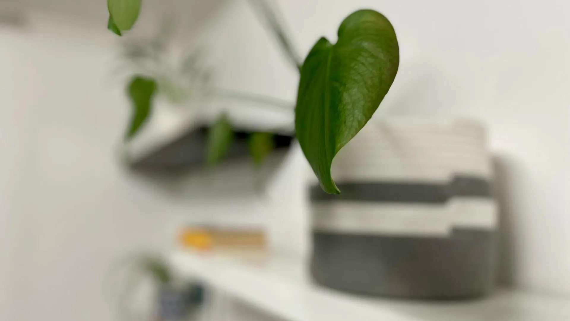 Greenchill House - West Roma