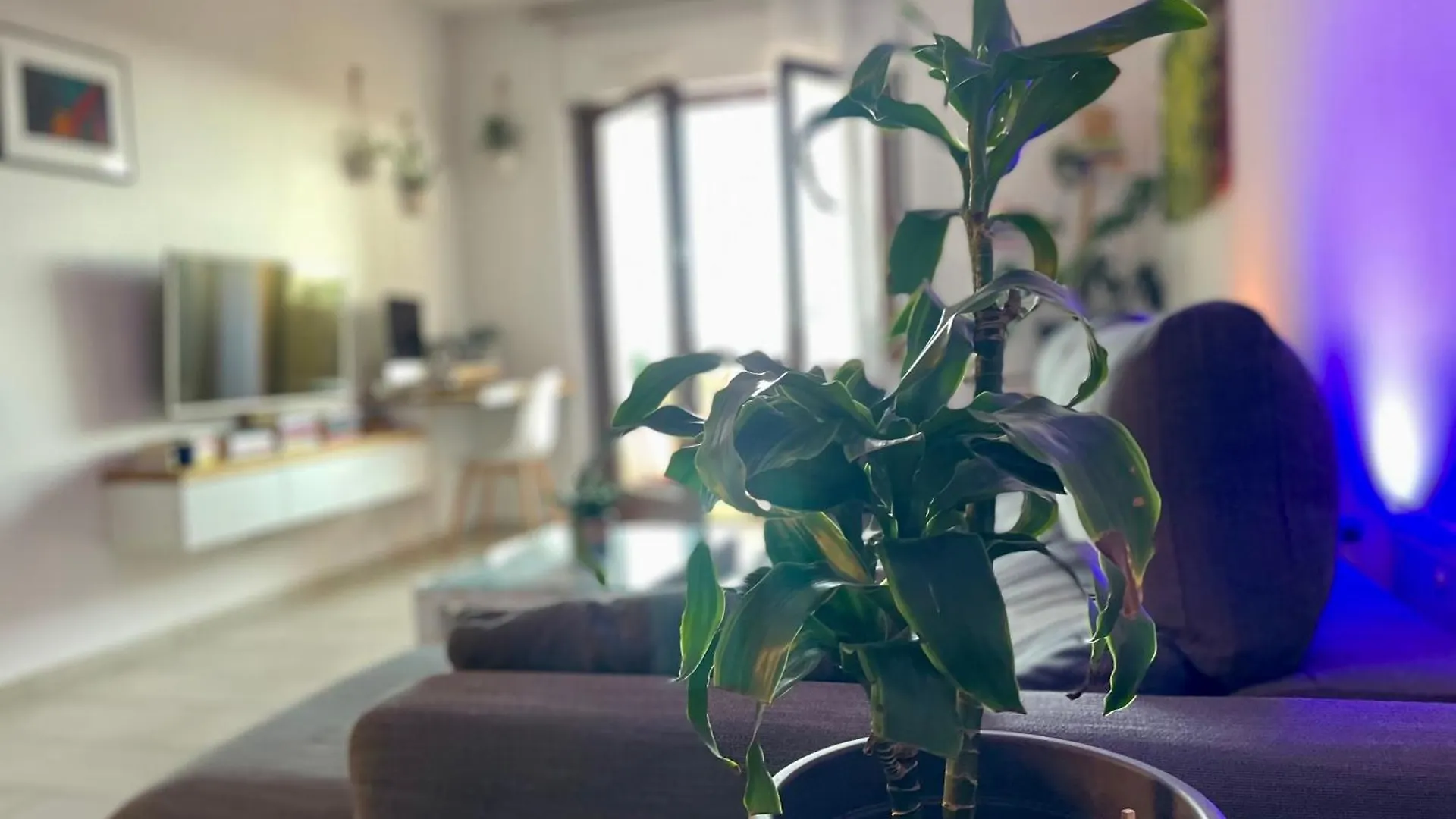 Apartment Greenchill House - West Rome